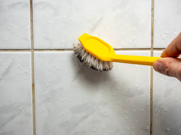 Best Mold Cleaning Services  in Mohnton, PA