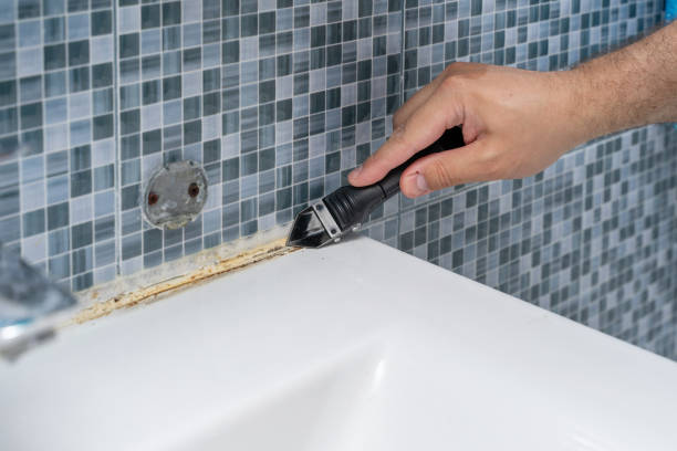 Best Residential Mold Removal  in Mohnton, PA